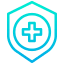 Shield icon
